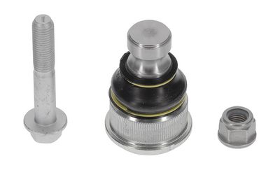 Šarnyras / girgždukas