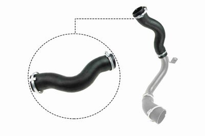 FURTUN EAR SUPRAALIMENTARE