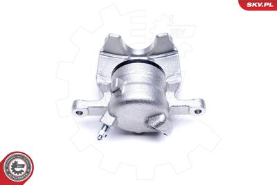 Brake Caliper 50SKV492