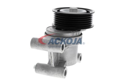 INTINZATOR CUREA CUREA DISTRIBUTIE ACKOJA A320602 27