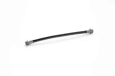 FURTUN FRANA ATE 24528402833 12