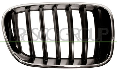 PRASCO BM8042003 Решетка радиатора  для BMW X3 (Бмв X3)