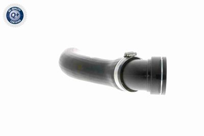 FURTUN EAR SUPRAALIMENTARE VAICO V201620 6