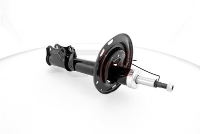 AMORTIZOR GH GH354569H 24