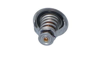TERMOSTAT LICHID RACIRE NRF 725209 28