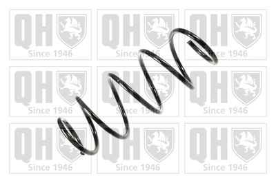 QUINTON HAZELL QCS6610 Пружина подвески  для FIAT (Фиат)