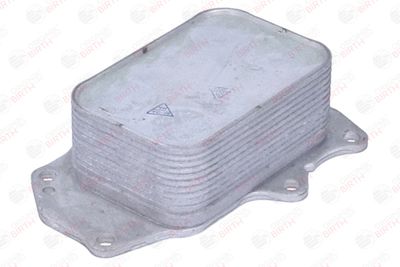 RADIATOR ULEI ULEI MOTOR BIRTH 80842 11