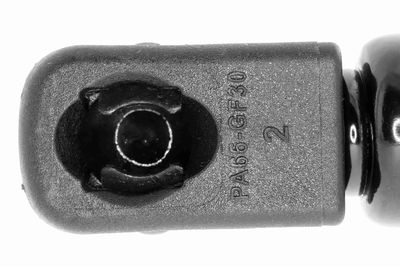 GASFEDER KOFFER-/LADERAUM VAICO V250229 1