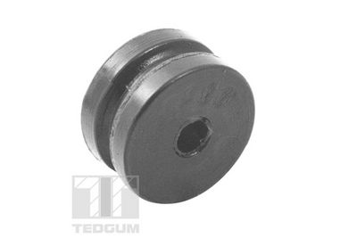SUPORT PEDALA ACCELERATIE TEDGUM TED62733
