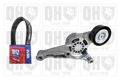 SET CUREA TRANSMISIE CU CANELURI