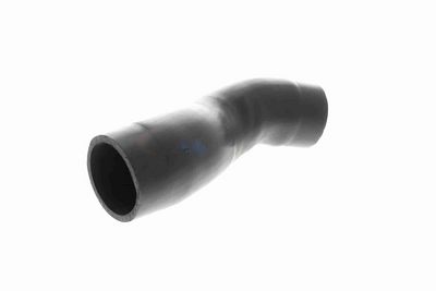 FURTUN EAR SUPRAALIMENTARE ACKOJA A529602 9