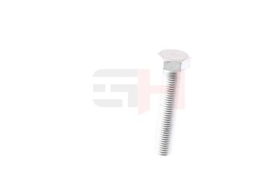 SURUB CAPAT DE AX GH GH392506 25