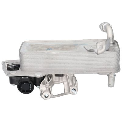 RADIATOR ULEI ULEI MOTOR BIRTH 80812