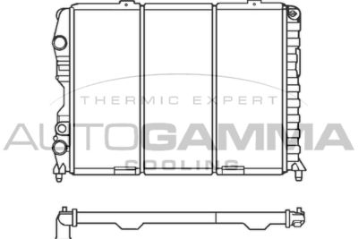 AUTOGAMMA 100029 Крышка радиатора  для ALFA ROMEO GTV (Альфа-ромео Гтв)