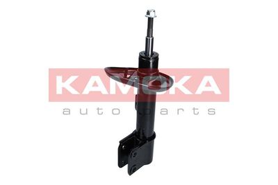 Shock Absorber 2000151