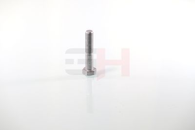 SURUB CAPAT DE AX GH GH392360 50