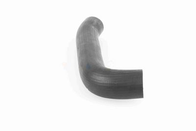 FURTUN EAR SUPRAALIMENTARE ACKOJA A379602 7