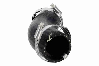 FURTUN EAR SUPRAALIMENTARE ACKOJA A520878 5