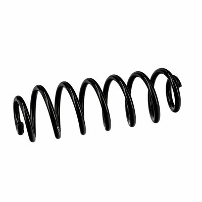 ARC SPIRAL EIBACH R10319 18