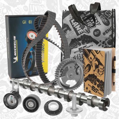 SET CUREA DE DISTRIBUTIE ET ENGINETEAM RM0033VR2