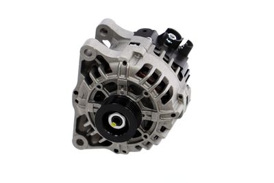 GENERATOR / ALTERNATOR REMANTE 011003000311R 61