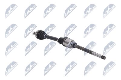 PLANETARA NTY NPWCT161 29