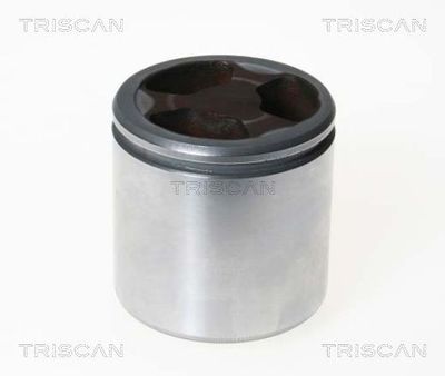 TRISCAN 8170 236046 Комплект направляющей суппорта  для IVECO (Ивеко)