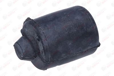 BURDUF CAUCIUC SUPORT MOTOR BIRTH 52660 3