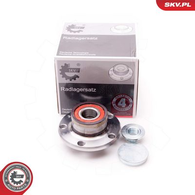 SET RULMENT ROATA ESEN SKV 29SKV004 4