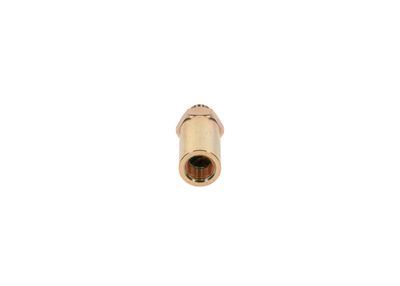 Bosch Fuel Injection System Valve 2 417 413 098