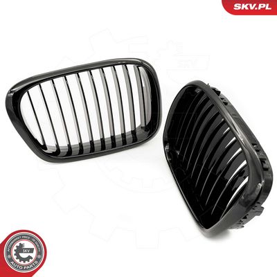 GRILA RADIATOR ESEN SKV 66SKV156 2