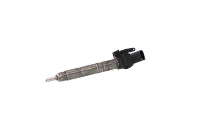 INJECTOR REMANTE 002003001015R 11