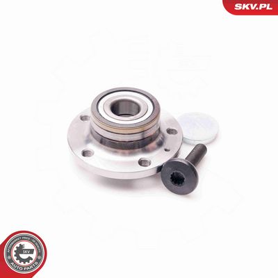 SET RULMENT ROATA ESEN SKV 29SKV006 1