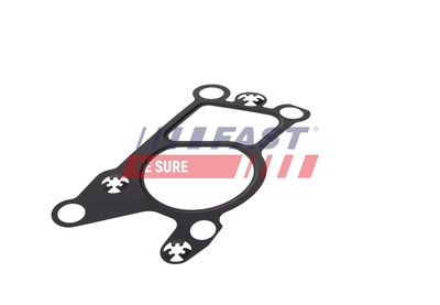 GARNITURA VENTIL AGR FAST FT50623 1