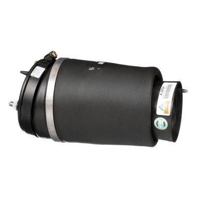 LUFTFEDER FAHRWERK Arnott A2934 5