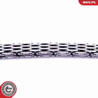 SET LANT ANTRENARE POMPA ULEI ESEN SKV 21SKV109 2