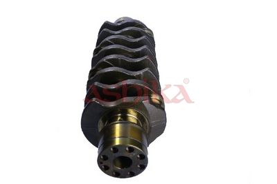 ARBORE COTIT ASHIKA 18IS001 1