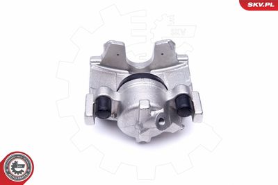 Brake Caliper 46SKV931