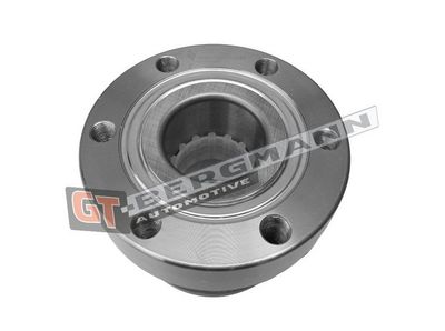 GT-BERGMANN Automotive Rato guolio komplektas