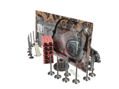 CHIT LANT DE DISTRIBUTIE ET ENGINETEAM RS0043VR2 24