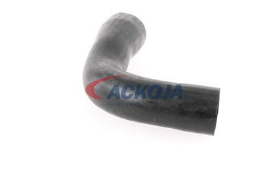 FURTUN EAR SUPRAALIMENTARE ACKOJA A389600 44