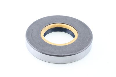 Dichtring