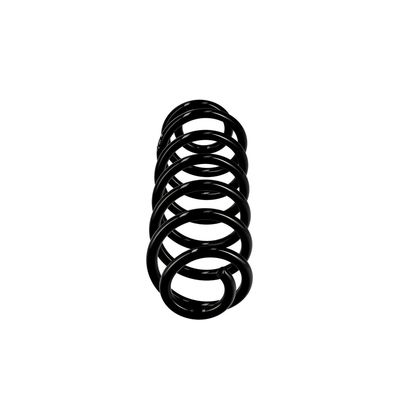 ARC SPIRAL EIBACH R10122 13