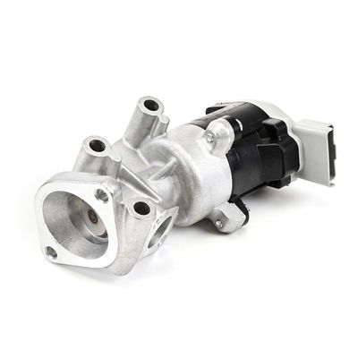 AGR-VENTIL DELPHI EG1052912B1 22