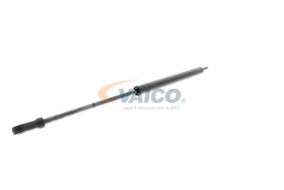 AMORTIZOR PORTBAGAJ VAICO V101925 31