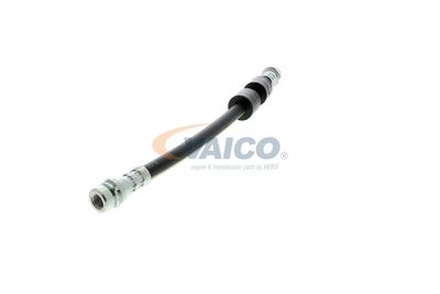 FURTUN FRANA VAICO V251328 26