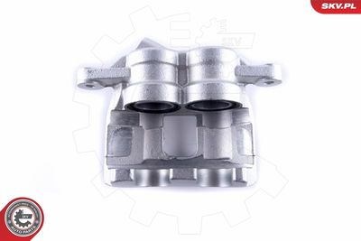 Brake Caliper 55SKV411