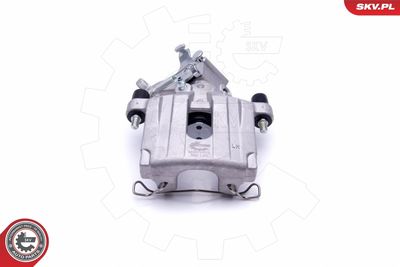 Brake Caliper 46SKV813