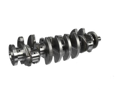 ARBORE COTIT ET ENGINETEAM HK0182 16