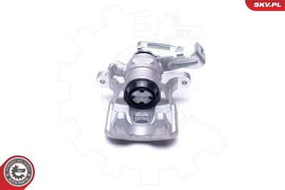 Brake Caliper 55SKV843